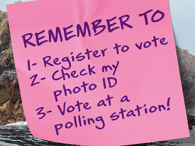 remember-your-photo-id-to-vote-north-somerset-life